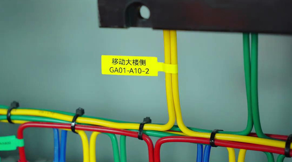 ǩʲôƷƺ?˶ңĺ